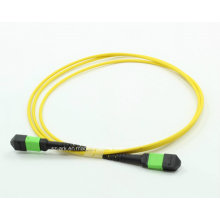 MPO-MPO de un solo modo G652D, G657A 12cores Fibra óptica Patchcord